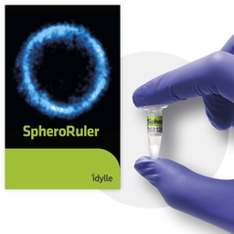 [AFA-NAN-1000-647] SpheroRuler - Calibration beads for SMLM microscopy