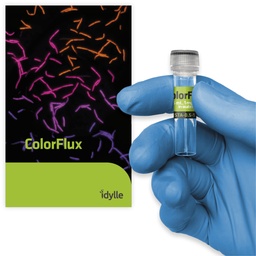 ColorFlux - A visual indicator of bacterial efflux